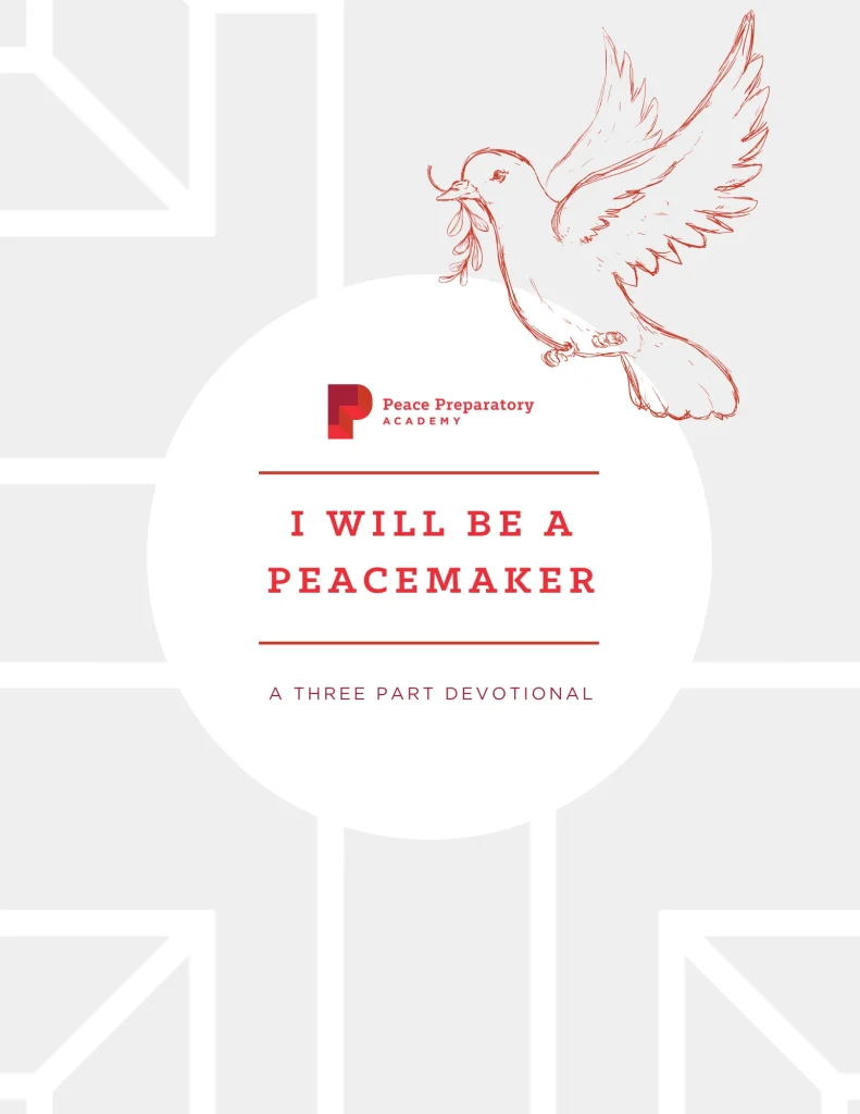 Cover - I Will be a Peacemaker